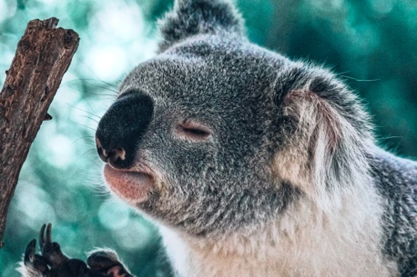 Une journée au zoo, l'aventure par excellence avec Funbooker