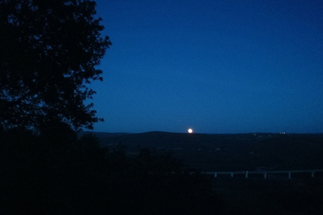 Nuit à la belle étoile gratuite en forêt (réservation)