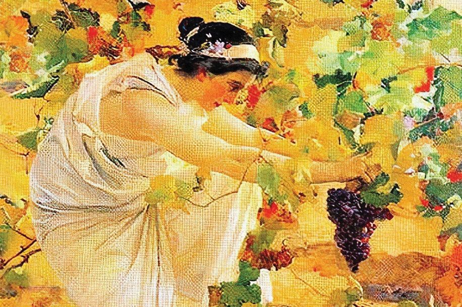 bacchus moulin jaune septembre 2025 1