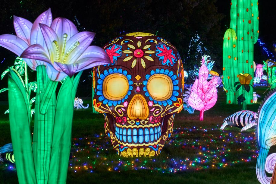 Thoiry Lumières Sauvages 2025 : une 8ème édition sous le signe des esprits