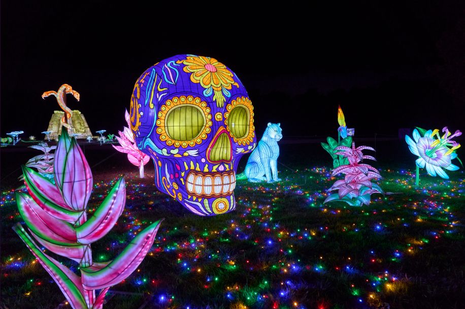 Thoiry Lumières Sauvages 2025 : une 8ème édition sous le signe des esprits