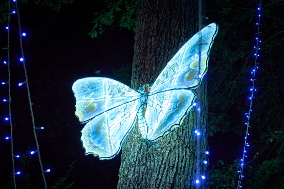 Thoiry Lumières Sauvages 2025 : une 8ème édition sous le signe des esprits