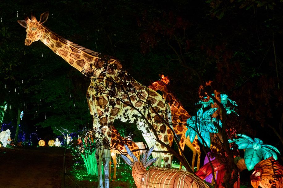 Thoiry Lumières Sauvages 2025 : une 8ème édition sous le signe des esprits