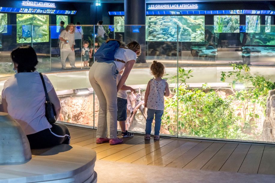 L'Aquarium tropical, des piranhas aux crocodiles... gratuit pour les  26 ans !