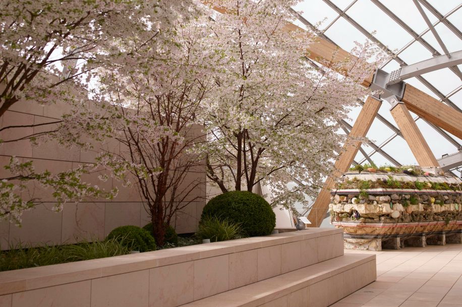 Jeudi, c’est gratuit : la Fondation Louis Vuitton ouvre ses portes aux étudiants