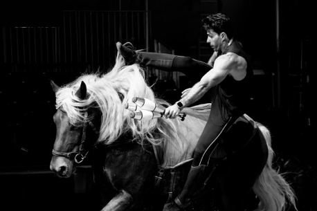 Repetitions equestres gratuites Folies Gruss dimanche matin