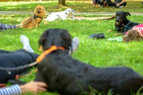 Yoga pour chien : testez le DOGA gratuitement avec votre toutou ! (à réserver)