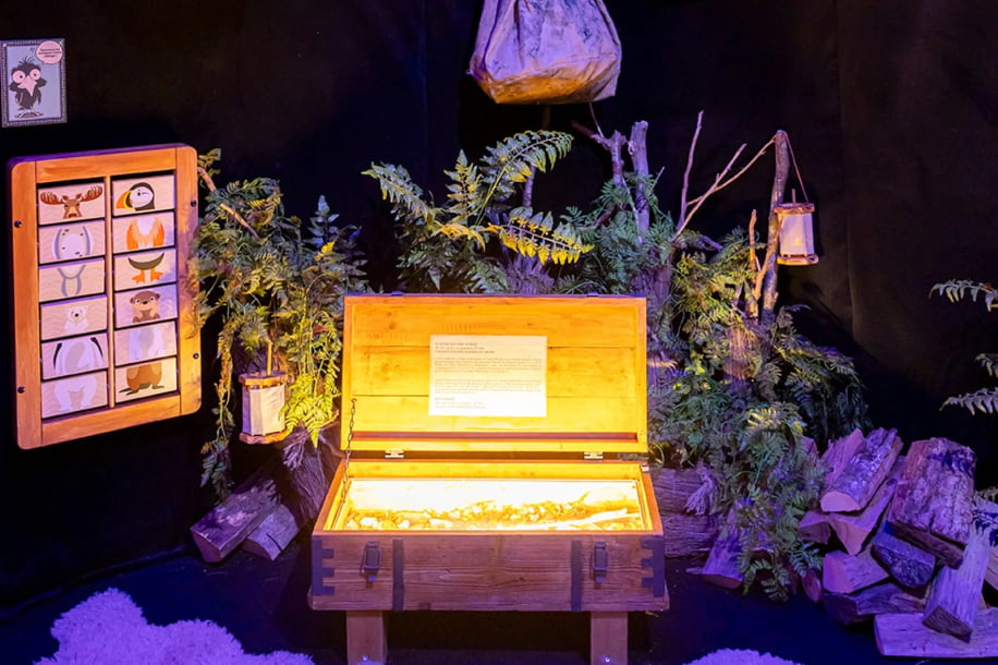 Cité Immersive Viking, le parcours immersif pour marcher dans les pas des Vikings