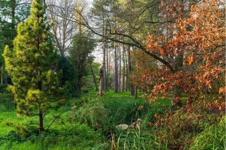 Arboretum de Paris 12 hectares calme nature 12e 1