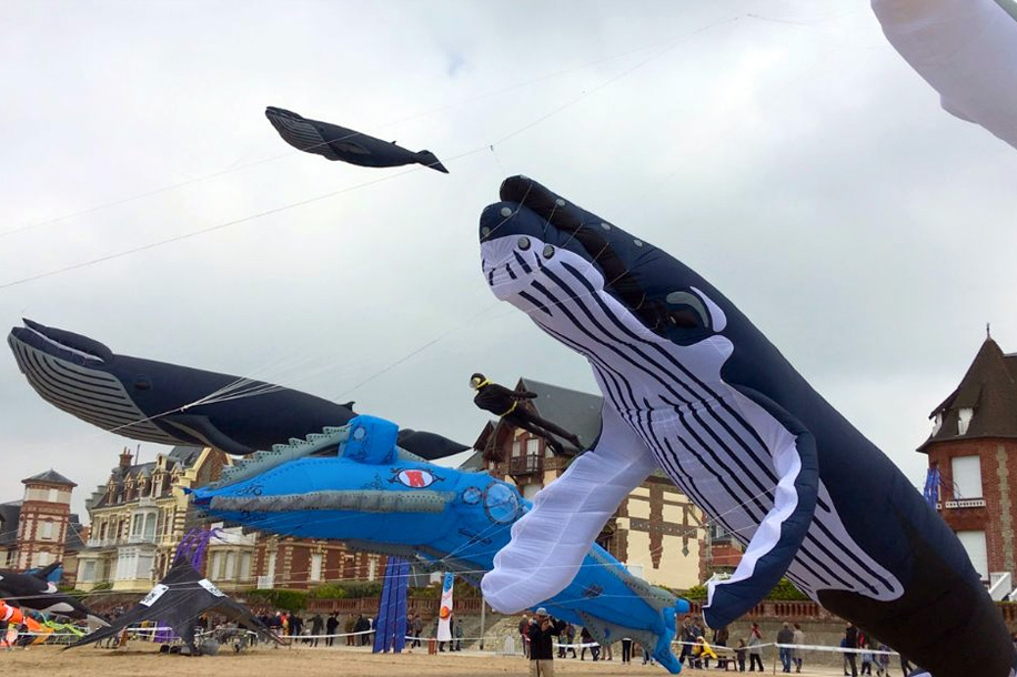 festival cerfs volants essone