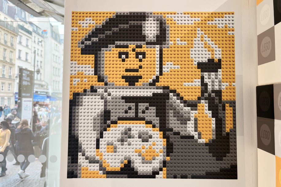 Transforme ta photo en mosaïque LEGO®