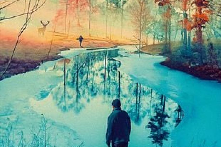 Cinéma gratuit sous les étoiles en forêt avec le festival Branche & Ciné