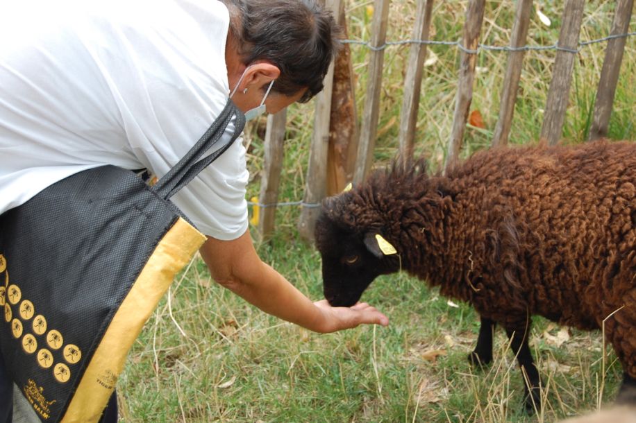 soigneur ferme paris enfant ete Rene Binet