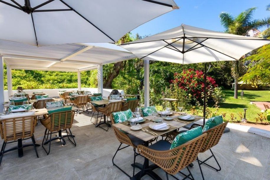 Vacances à Tenerife : un séjour tout confort au cœur d’un jardin exotique