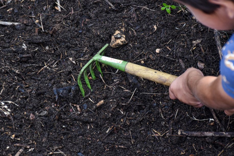 atelier potager ferme de paris septembre 2025