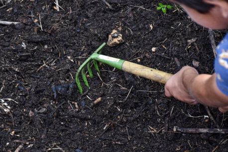 Mercredi c’est tout vert : atelier potager gratuit à la Ferme de Paris