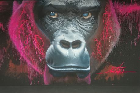 Le Zoo Art Show célèbre le street art sur quatre étages à La Défense