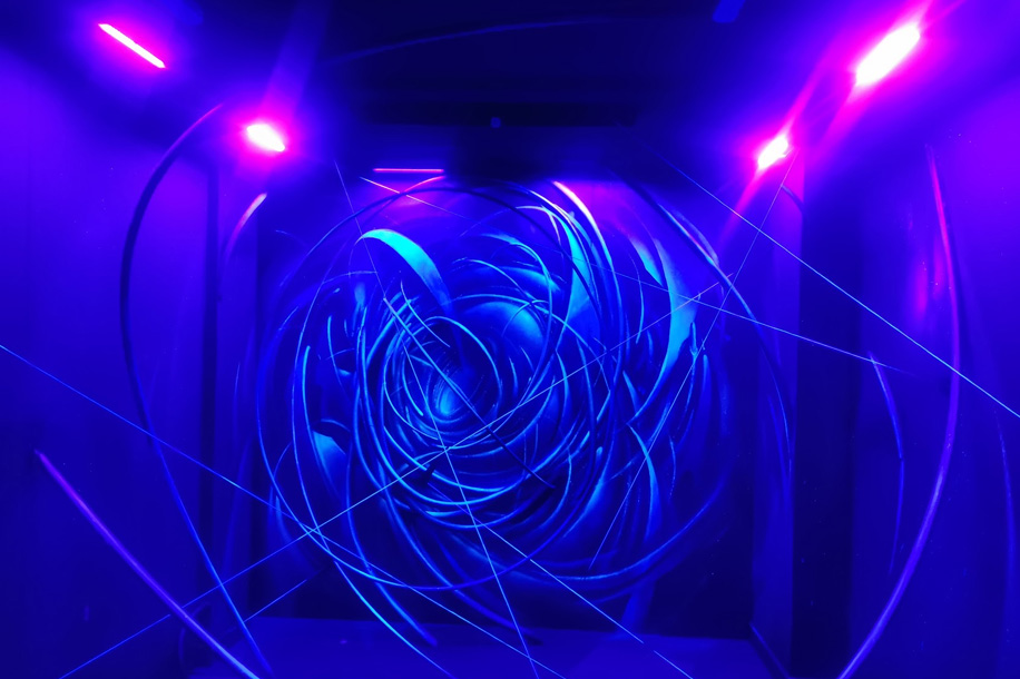 Le Zoo Art Show célèbre le street art sur quatre étages à La Défense