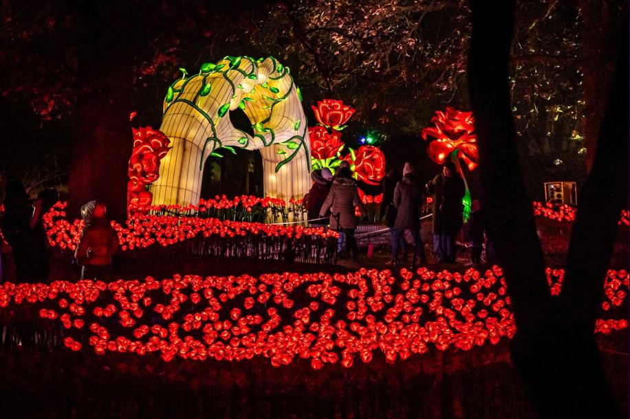 Dragons, aurores boréales et lanternes géantes : cap sur l’Odyssée Lumineuse