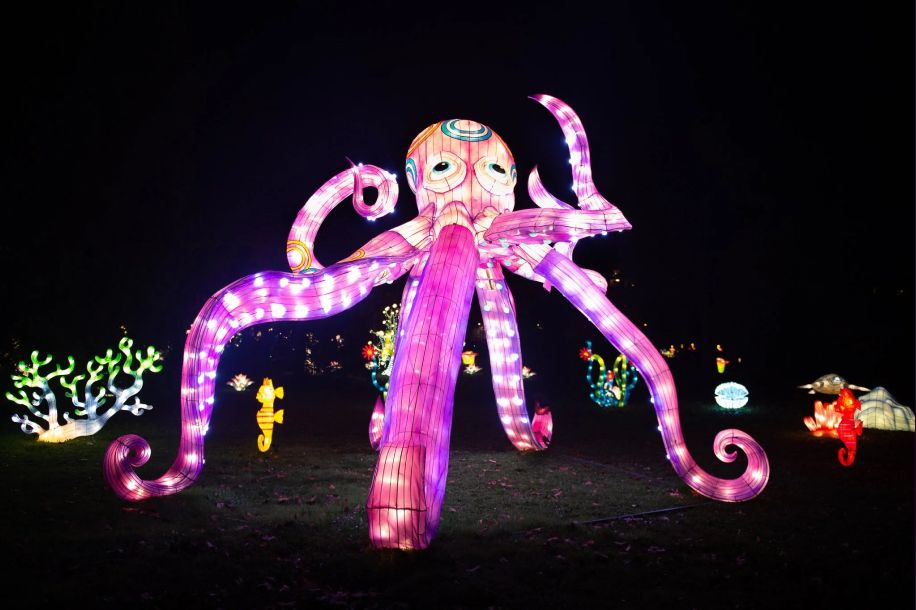 Dragons, aurores boréales et lanternes géantes : cap sur l’Odyssée Lumineuse