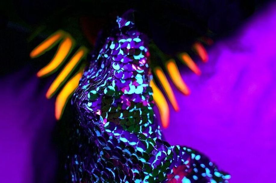 Amazônia : la grande soirée gratuite du musée du quai Branly