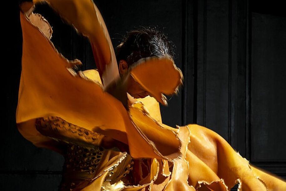 Amazônia : la grande soirée gratuite du musée du quai Branly