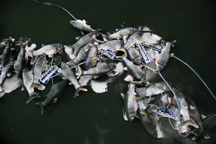 « Voir la mer » : exposition gratuite et engagée entre abysses et rivages