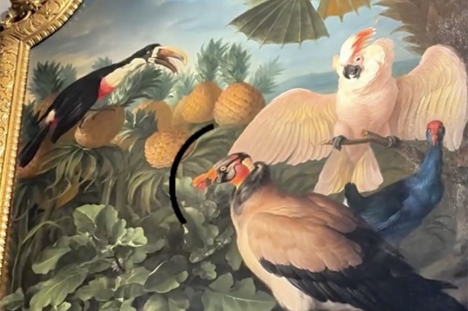 La licorne, l’étoile et la lune : une expo à découvrir gratuitement le 1er dimanche du mois