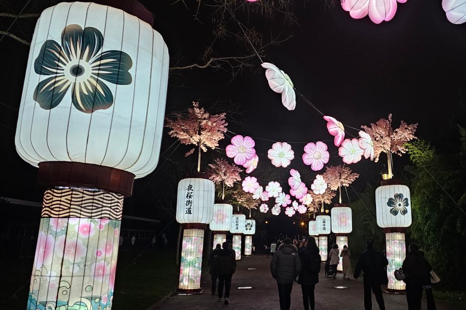 Lanternes, sakuras et pop culture : le parcours lumineux du Jardin d’Acclimatation