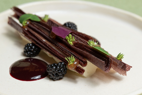 Un week end à Béziers entre table étoilée et hôtel de charme. Découvrez le Calice et son Hôtel Particulier.