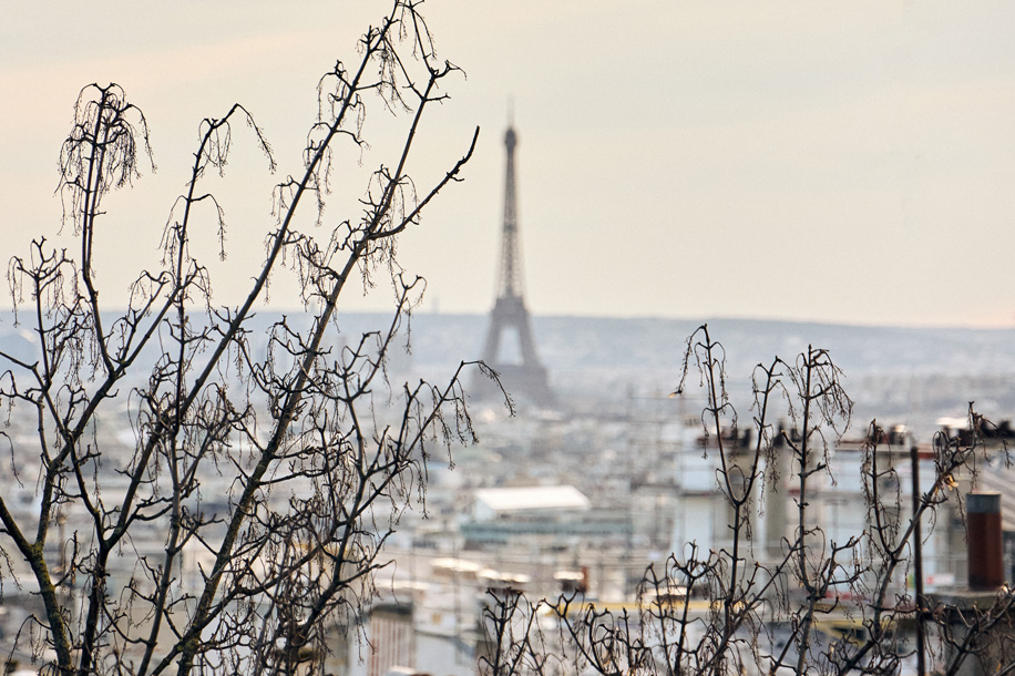 Fleurs + Macarons + tote bag offerts au 