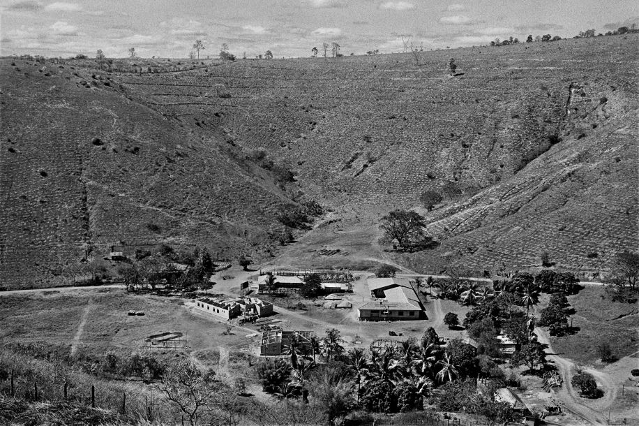 200 photographies à découvrir gratuitement pour saluer la carrière de Sebastião Salgado