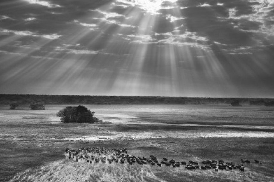 200 photographies à découvrir gratuitement pour saluer la carrière de Sebastião Salgado