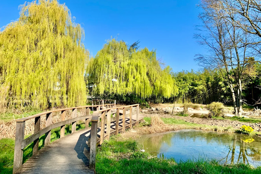 arboretum bois de vincennes