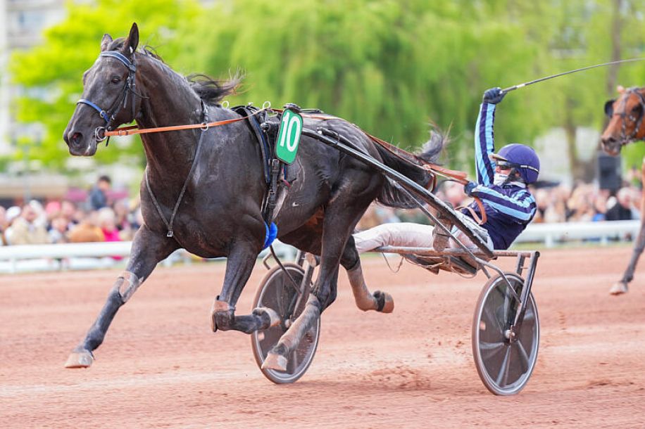 Prix de l’Atlantique et Fête du Cheval : entre compétition spectaculaire et activités gratuites pour toute la famille !