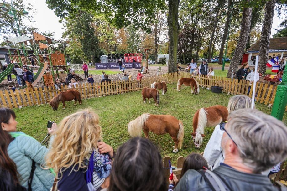 Prix de l’Atlantique et Fête du Cheval : entre compétition spectaculaire et activités gratuites pour toute la famille !