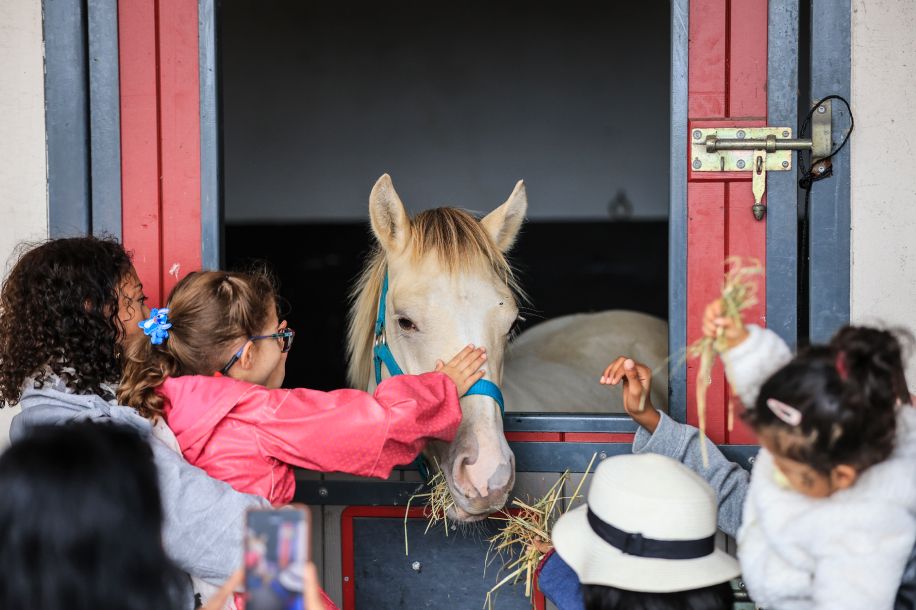 Prix de l’Atlantique et Fête du Cheval : entre compétition spectaculaire et activités gratuites pour toute la famille !
