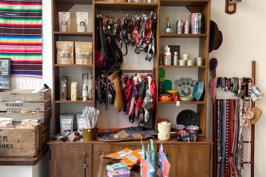 cafe friperie chiens paris menilmontant 1