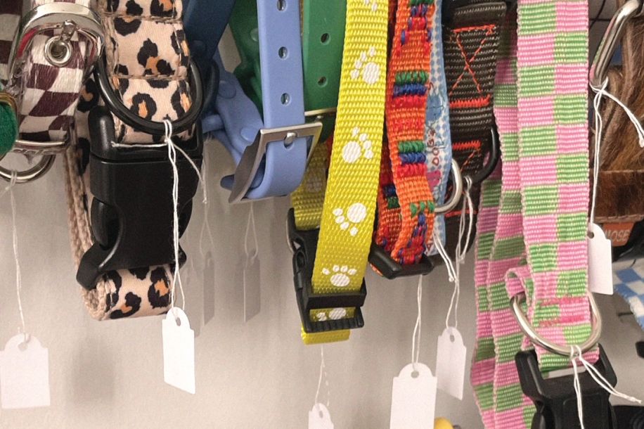 Boire un café pendant que ton chien fait du shopping ? C’est possible