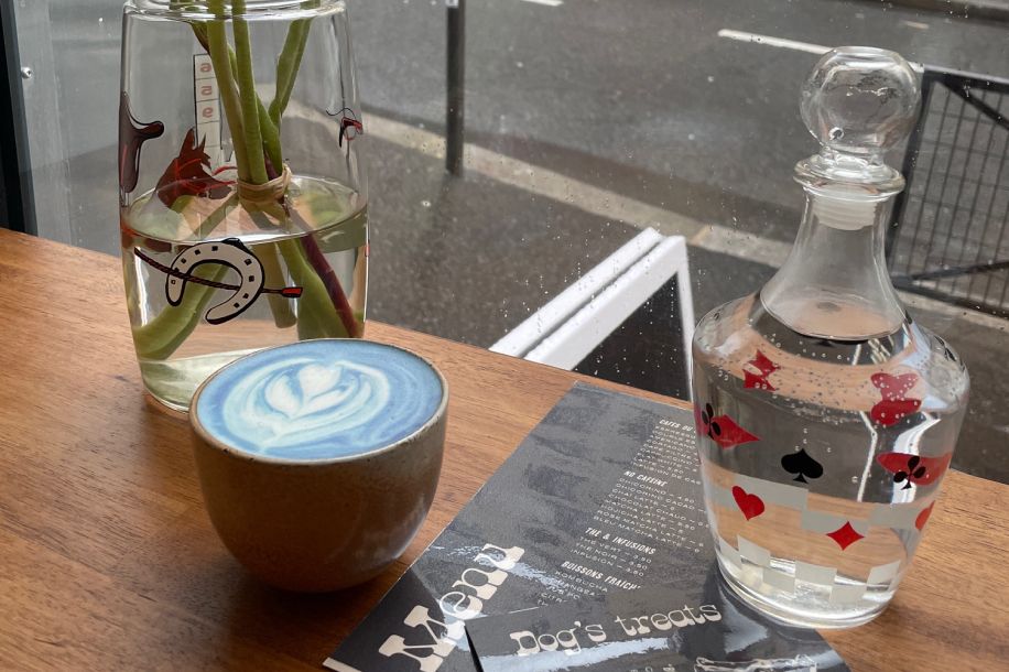 Boire un café pendant que ton chien fait du shopping ? C’est possible