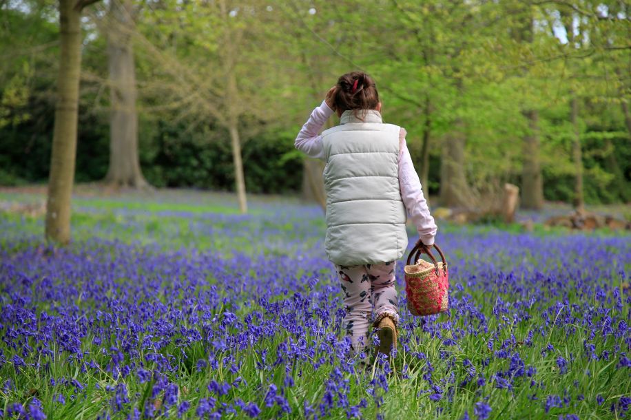Chasse aux œufs géante au cœur du parc animalier de Thoiry