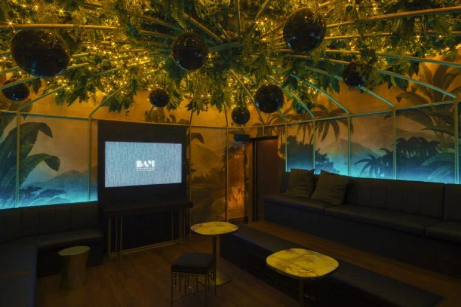 BAM Battles : le karaoké version compétition... alors qui chante le mieux ?