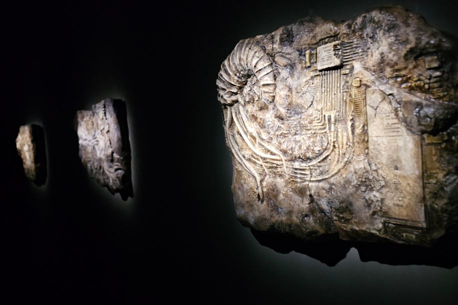 Sous l'horizon, l'expo immersive qui ne ressemble à aucune autre...