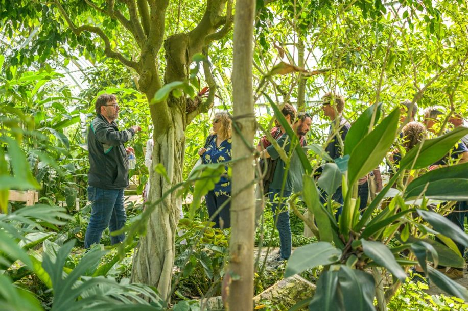 Week end gratuit aux serres d’Auteuil : concerts, plantes exotiques et ateliers pratiques