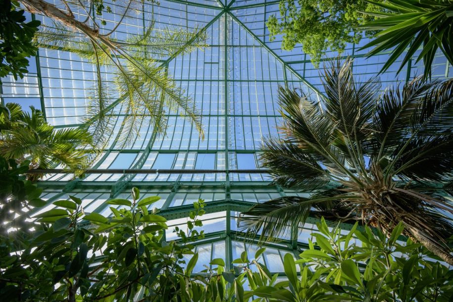 Week end gratuit aux serres d’Auteuil : concerts, plantes exotiques et ateliers pratiques