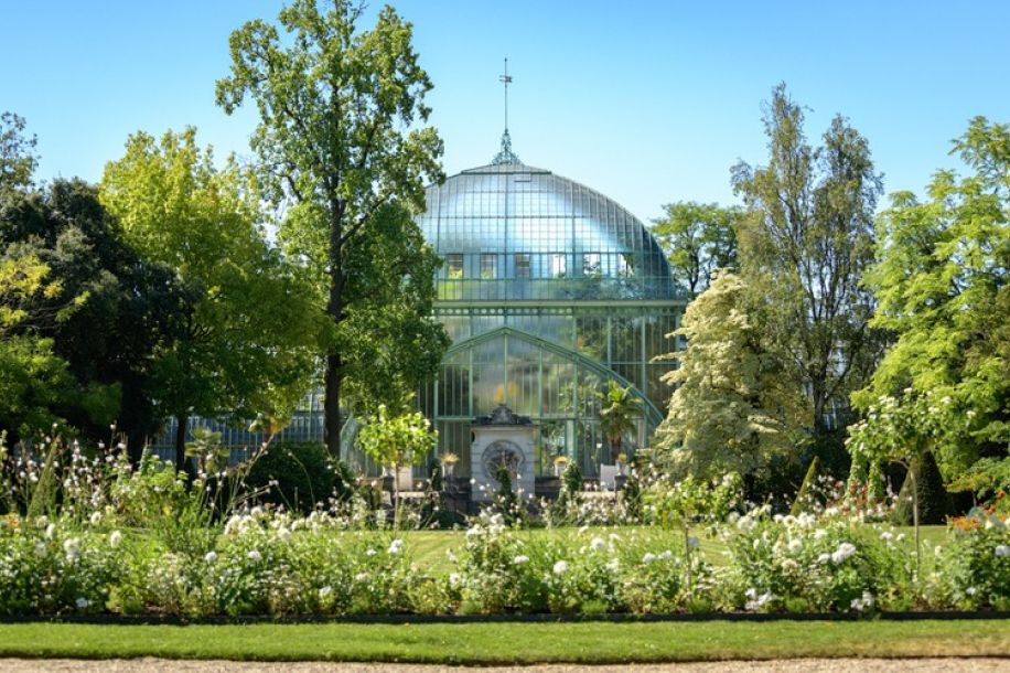 Week end gratuit aux serres d’Auteuil : concerts, plantes exotiques et ateliers pratiques