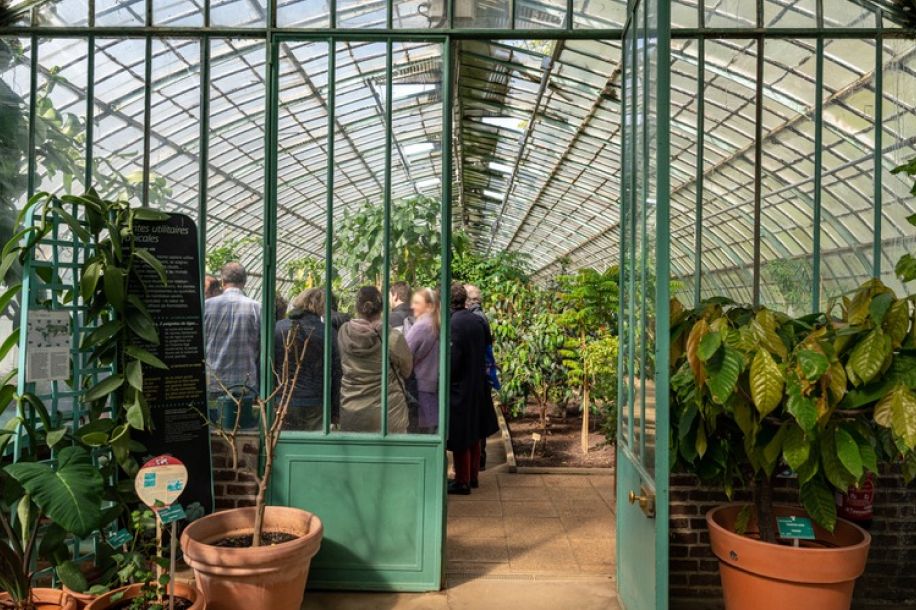 Week end gratuit aux serres d’Auteuil : concerts, plantes exotiques et ateliers pratiques