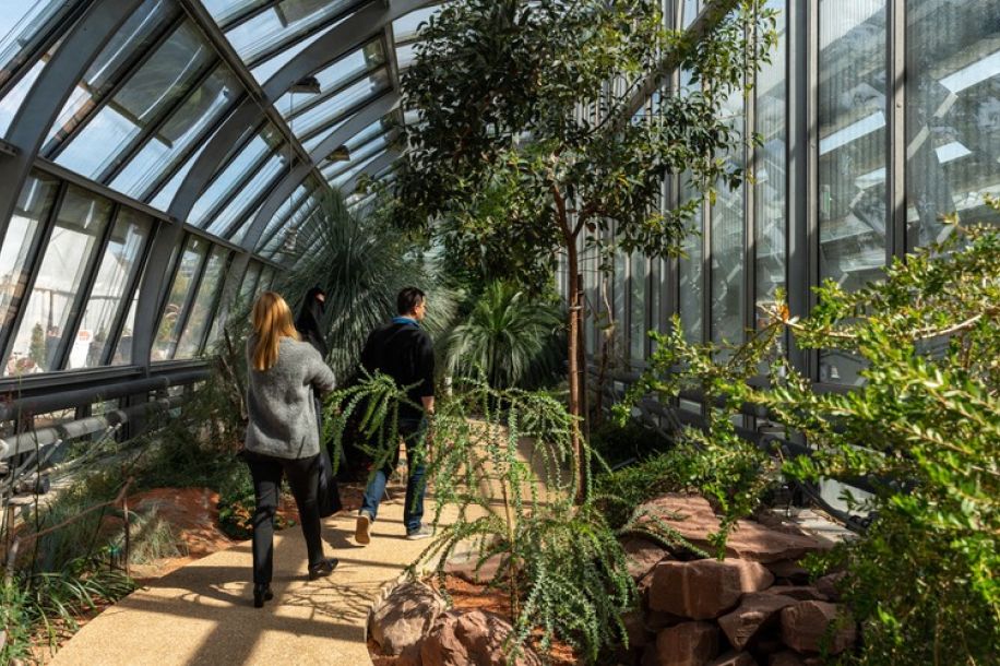 Week end gratuit aux serres d’Auteuil : concerts, plantes exotiques et ateliers pratiques