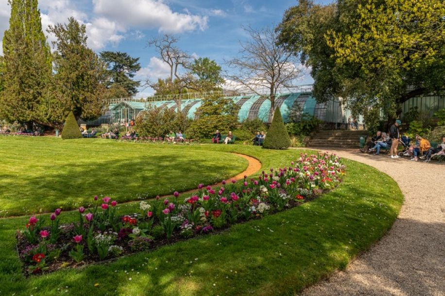 Week end gratuit aux serres d’Auteuil : concerts, plantes exotiques et ateliers pratiques