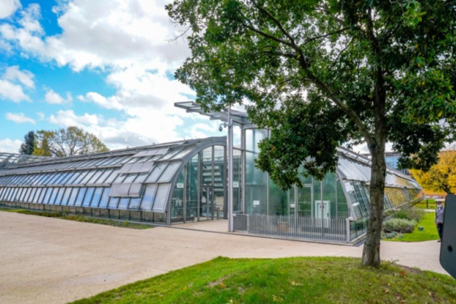 Week end gratuit aux serres d’Auteuil : concerts, plantes exotiques et ateliers pratiques